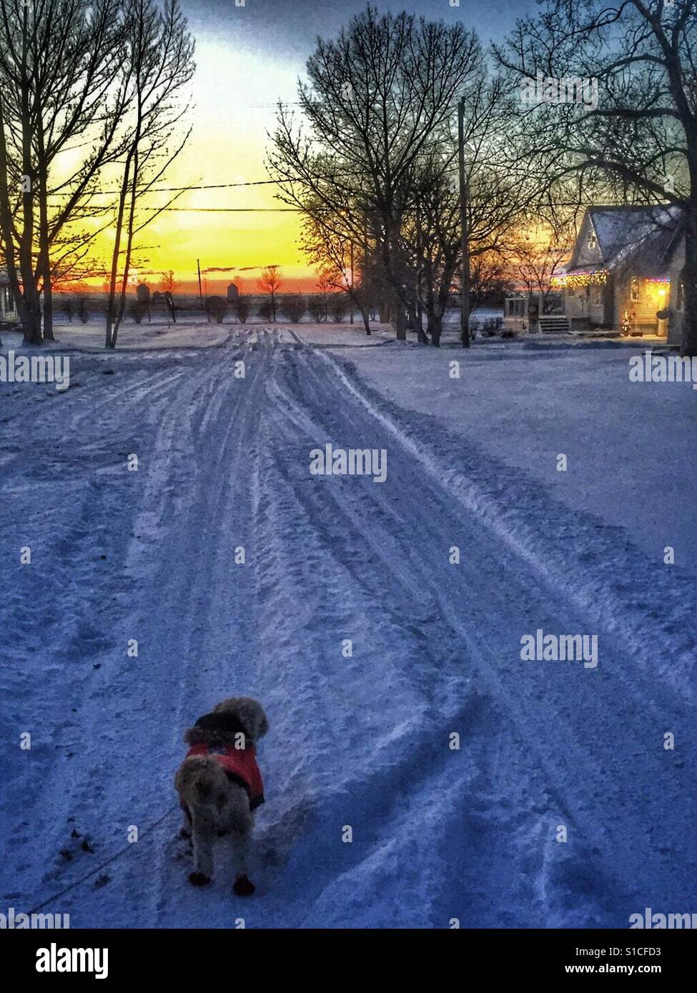 Going for a Winter Evening Walk Stock Photo