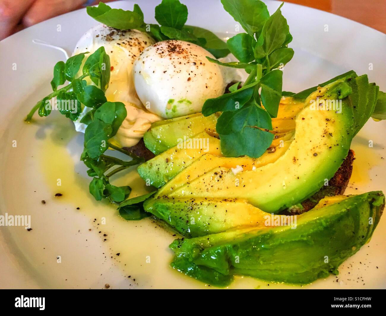 Poached eggs with avocado and pea shoot salad - Smartphone Captured Stock Image