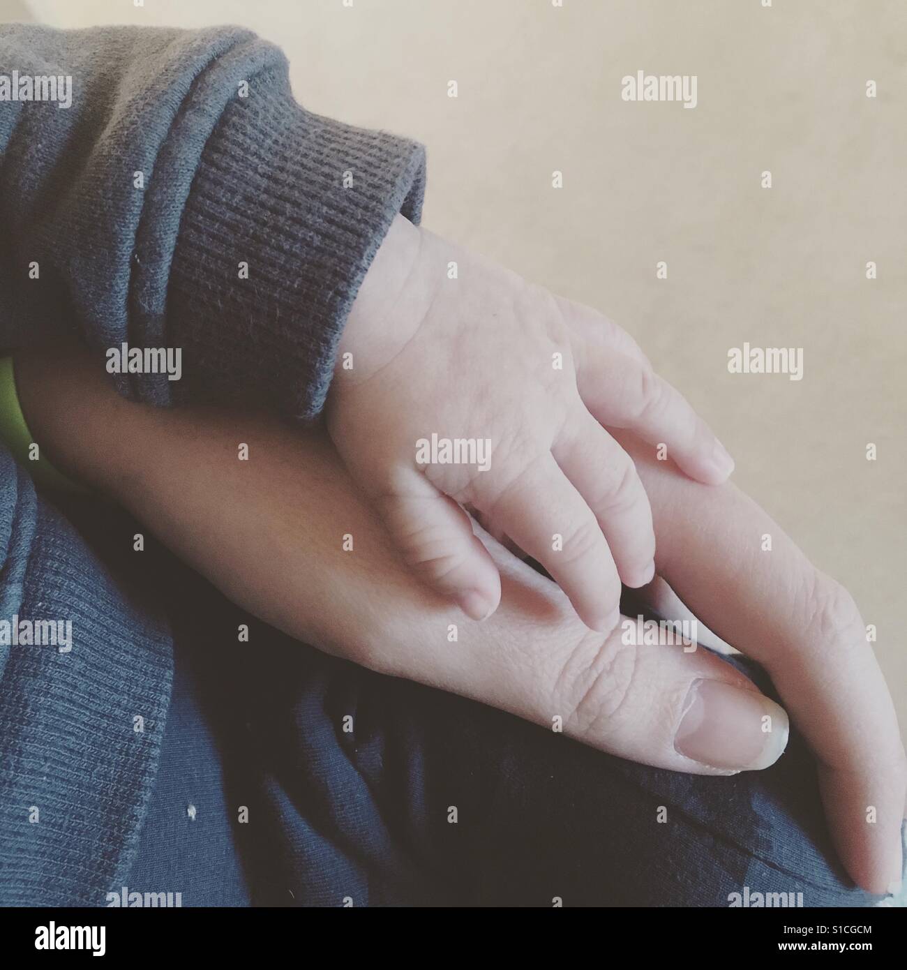 Mother and baby hands Stock Photo