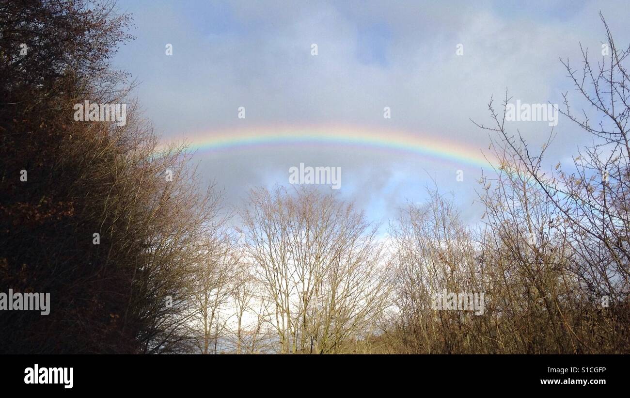 Rainbow prism hi-res stock photography and images - Alamy