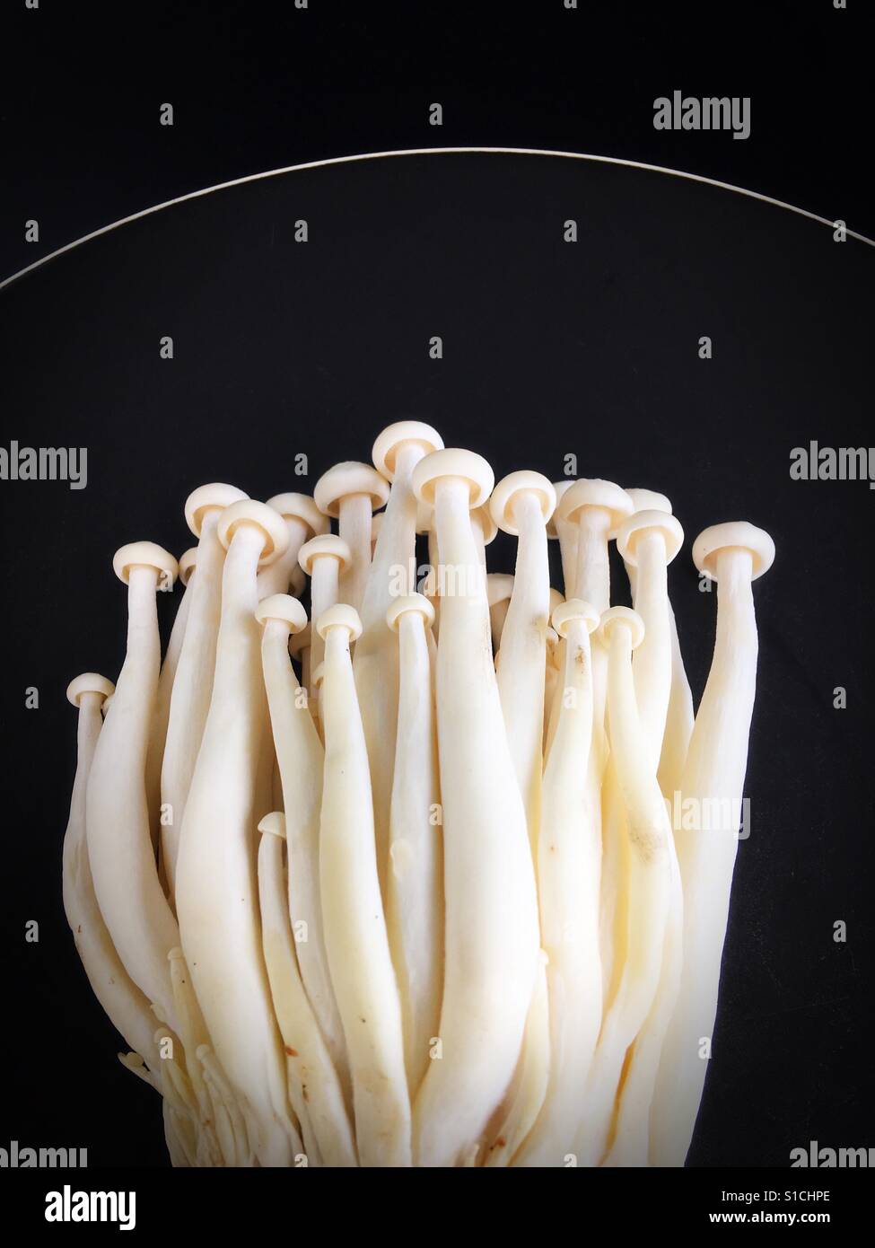 Enoki mushrooms hires stock photography and images Alamy