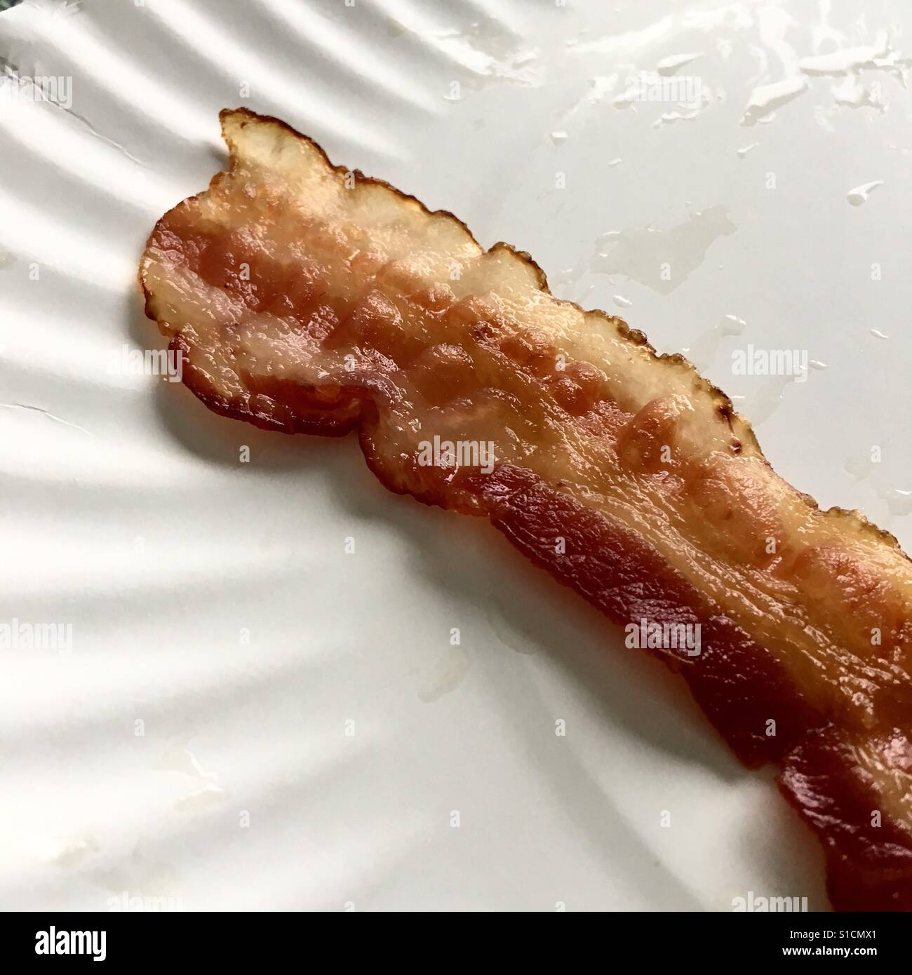 One strip of bacon on paper plate - Smartphone Captured Stock Image