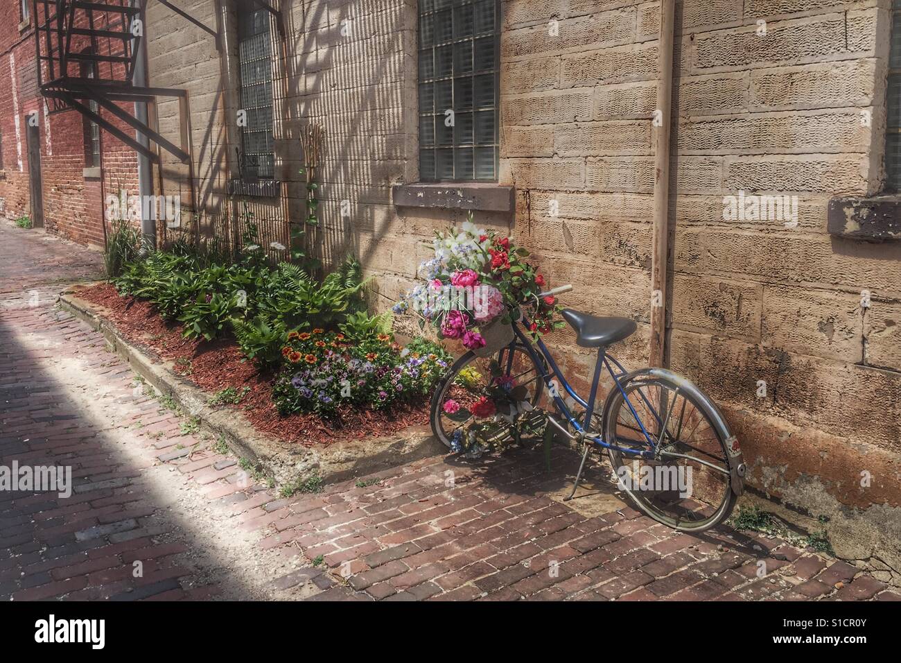 Old bicycle parked in an alley - Smartphone Captured Stock Image