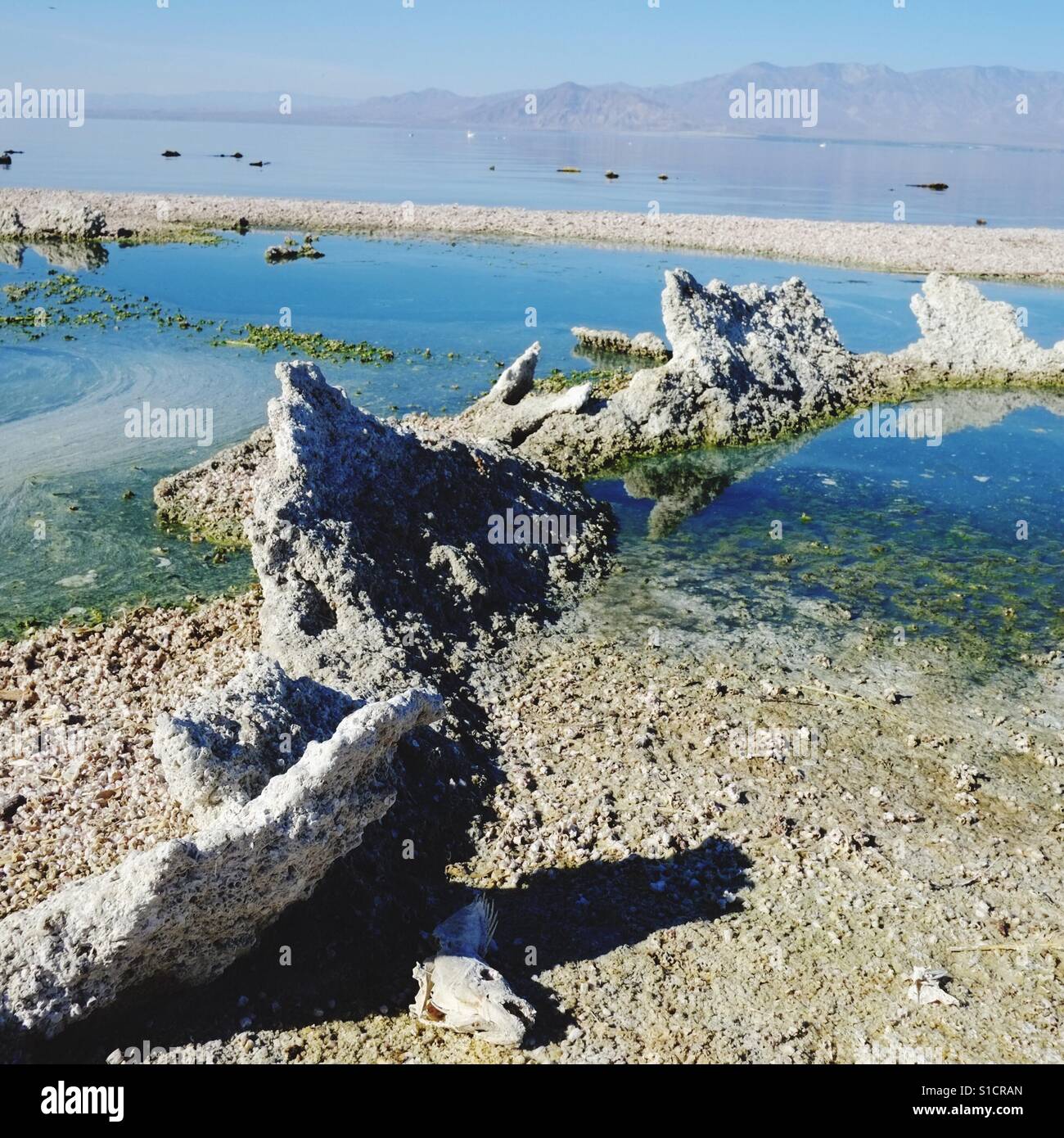 Salton Sea - Smartphone Captured Stock Image