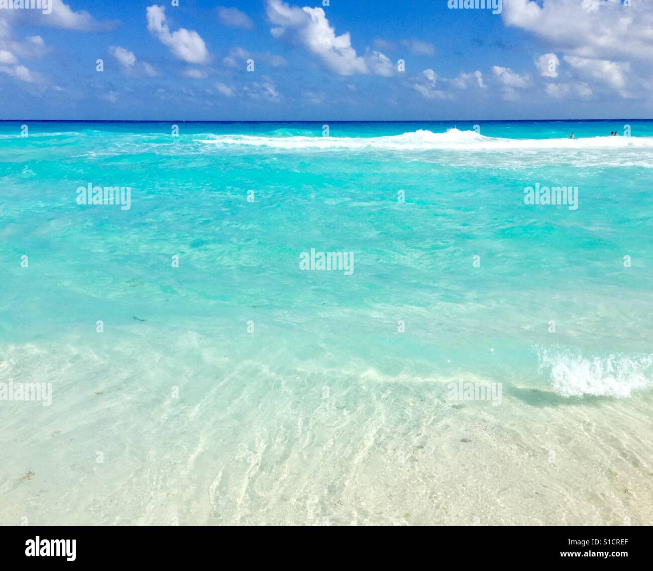 Crystal Clear Water Cancun Mexico Stock Photo 310683143 Alamy