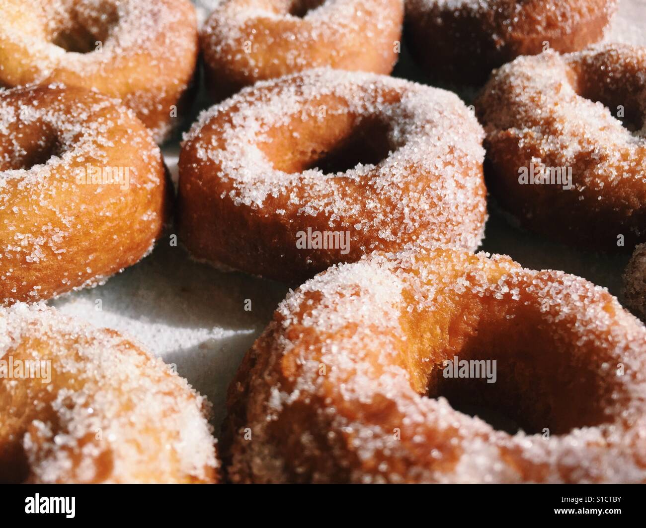Ring Donuts Stock Photo Alamy