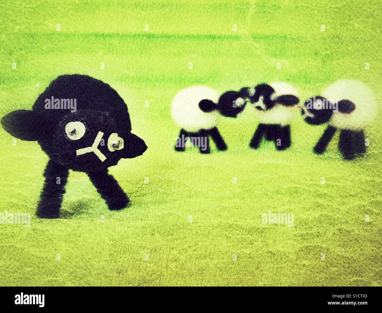 Black sheep and three white sheep, to illustrate the concept of being left out. - Smartphone Captured Stock Image