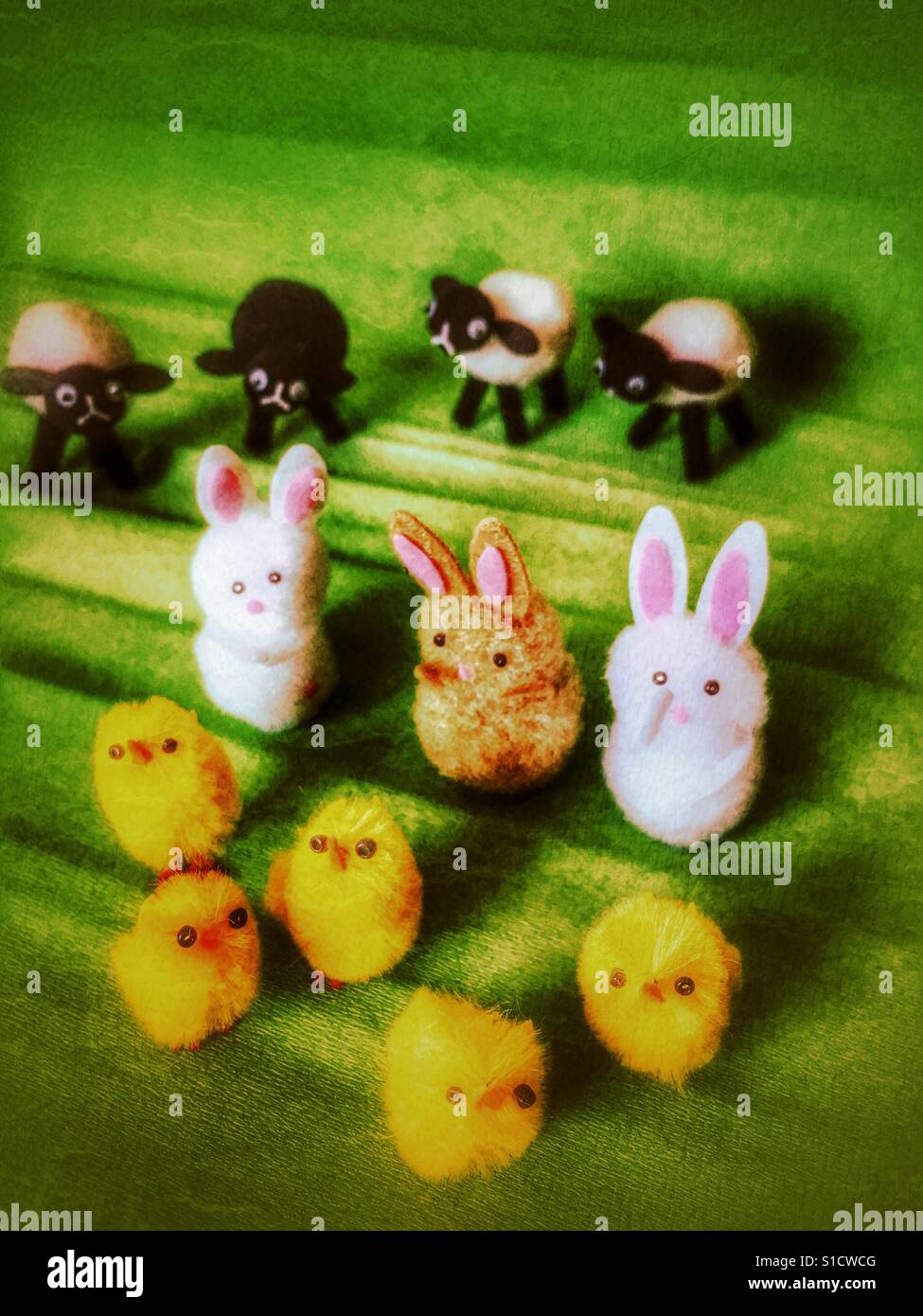 Toy sheep, rabbits and chicks - Smartphone Captured Stock Image