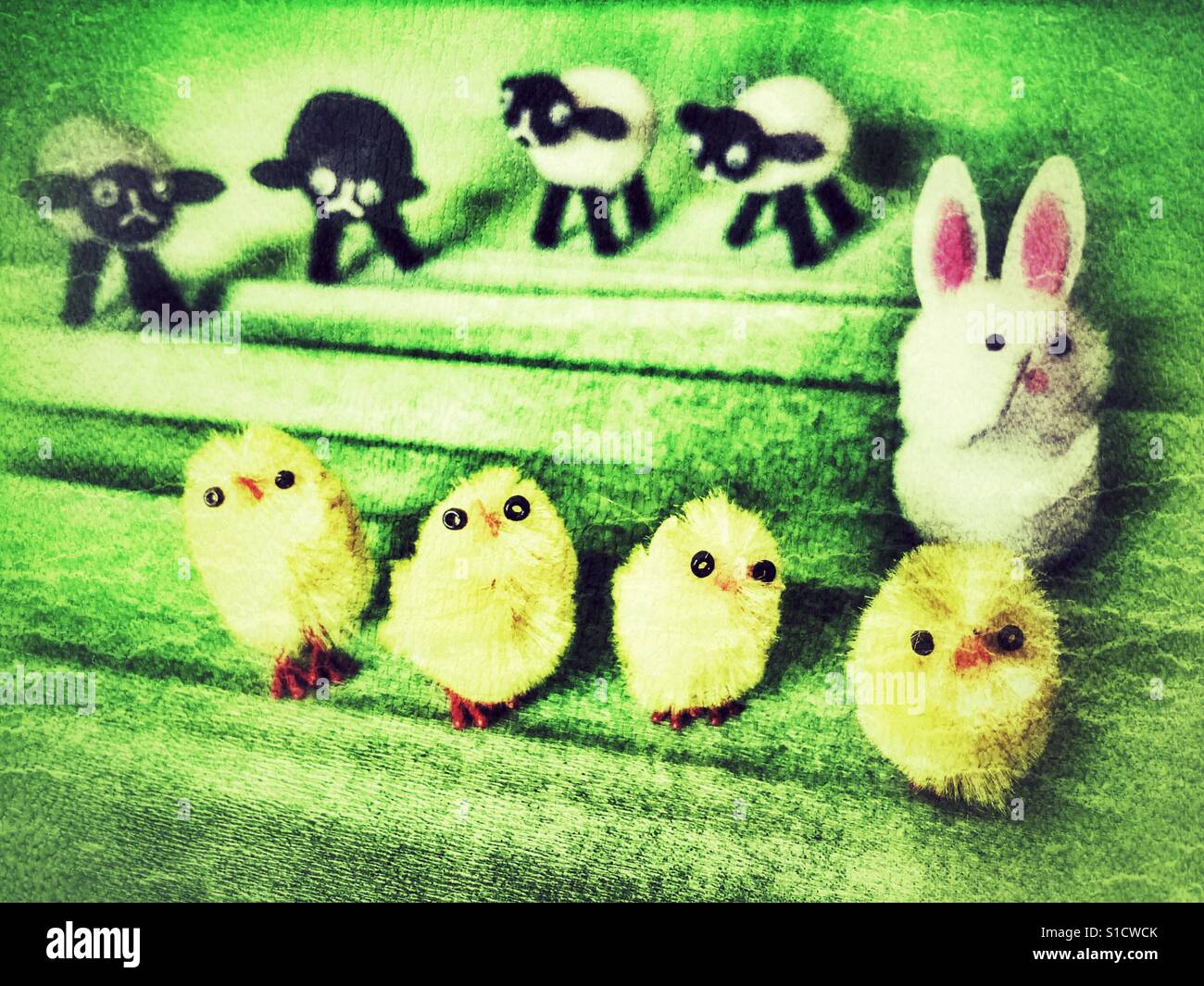 Toy sheep, rabbit and chicks - Smartphone Captured Stock Image