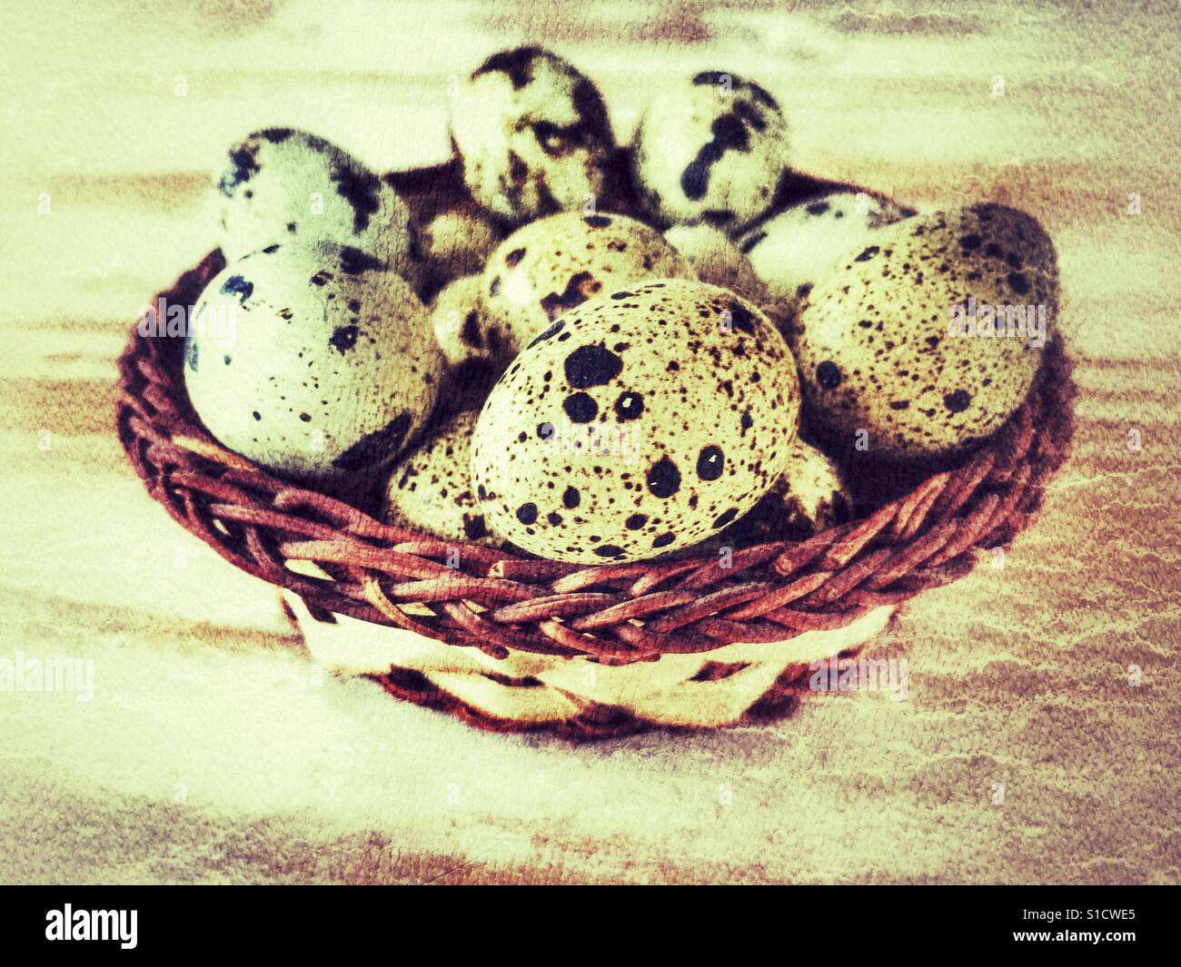 Quail's eggs in a baskets Stock Photo Alamy