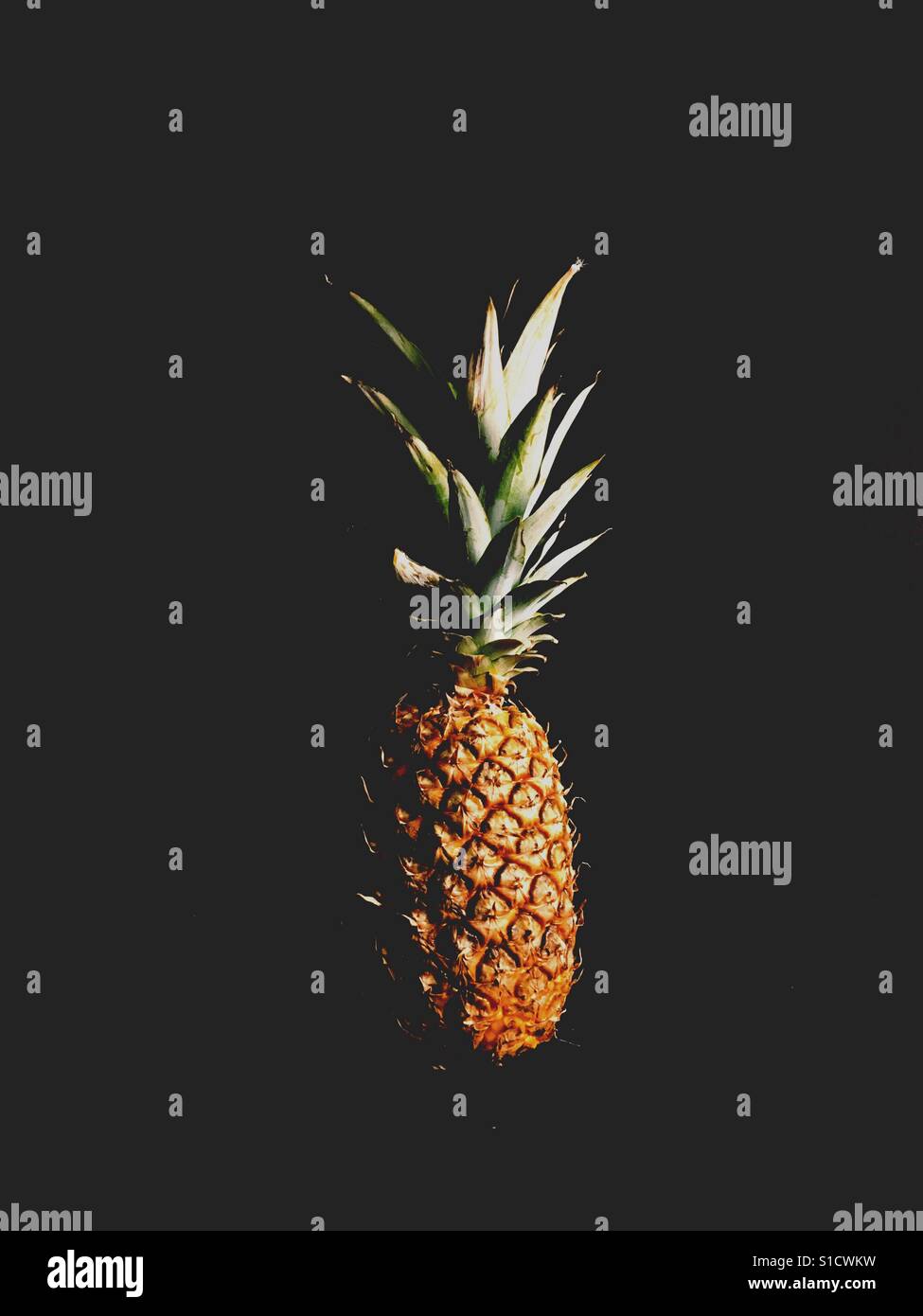 Pineapple fruit with black background. Room for copy. Portrait Lighting. - Smartphone Captured Stock Image