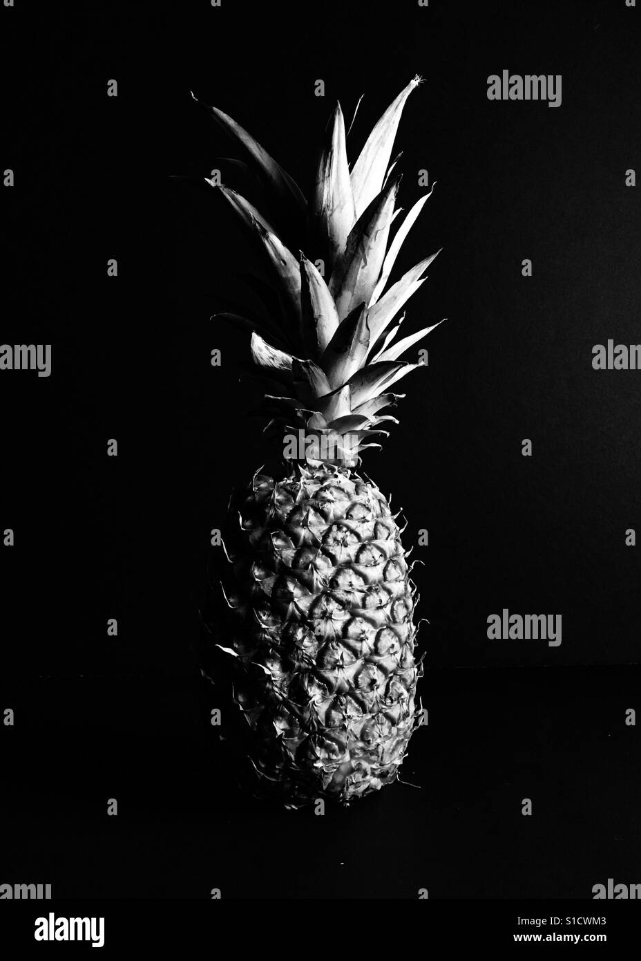 Pineapple on black backdrop. In black and white. Portrait. Room for copy. Stock Photo