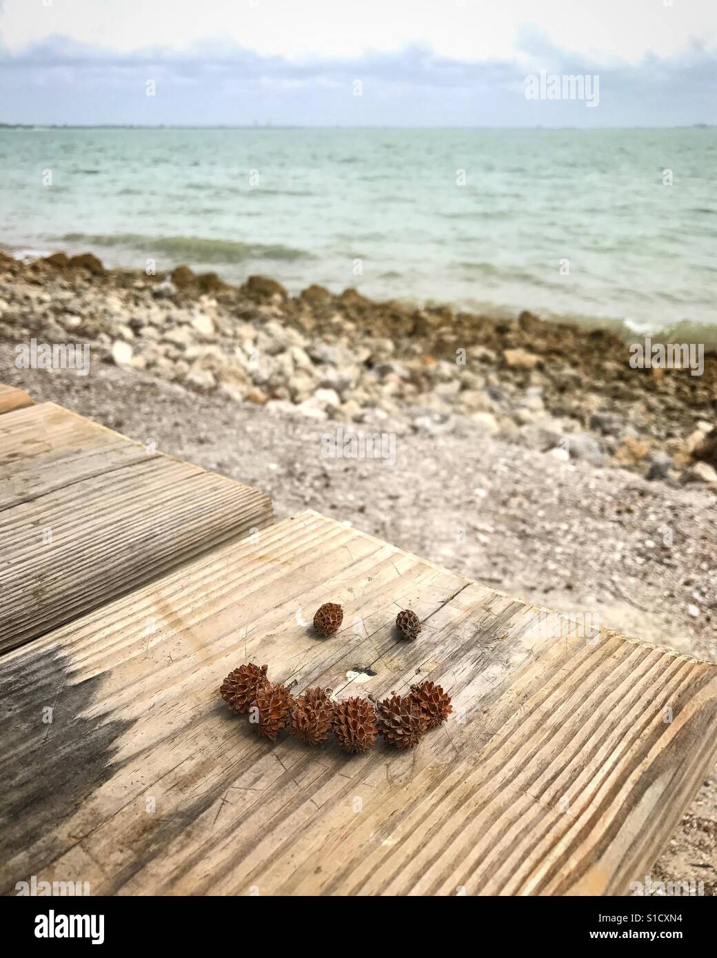 Beautiful day at beach hi-res stock photography and images - Alamy