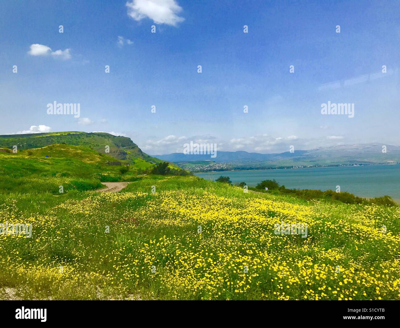 Sea of Galilee Stock Photo