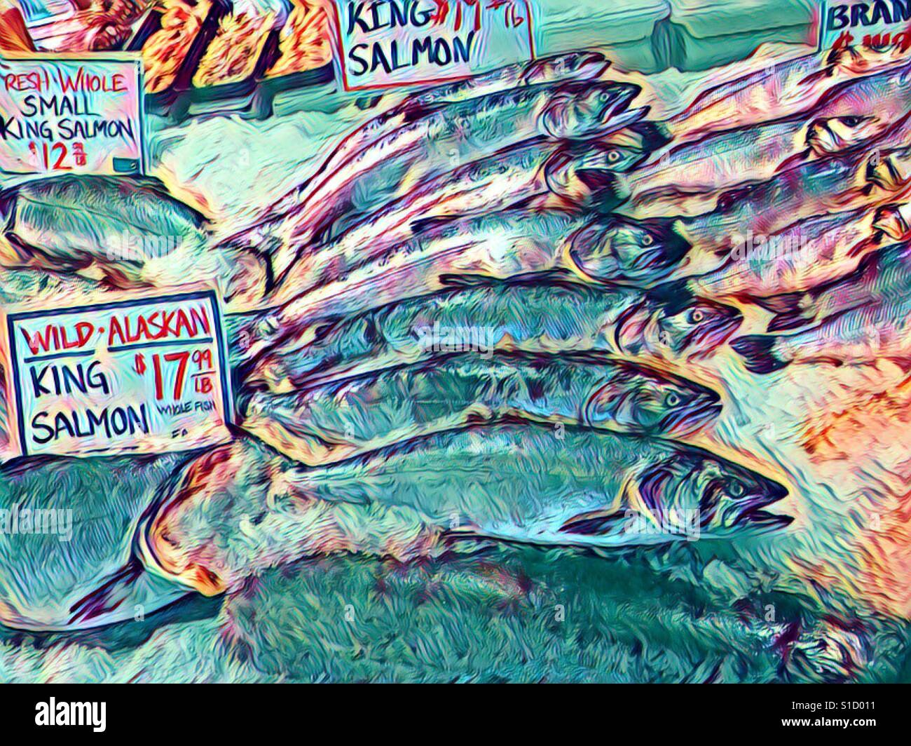 King salmon - Smartphone Captured Stock Image