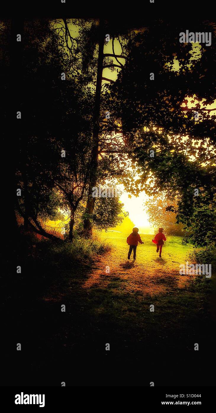 Children running through the woods. - Smartphone Captured Stock Image Children running through the woods. - Smartphone Captured Stock Image