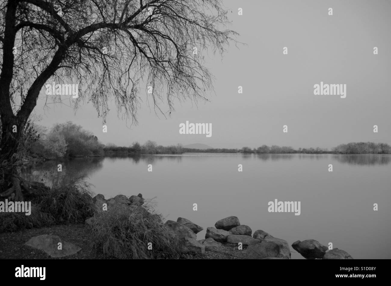 Bateman Island view! Taken in Richland, Washington Stock Photo Alamy