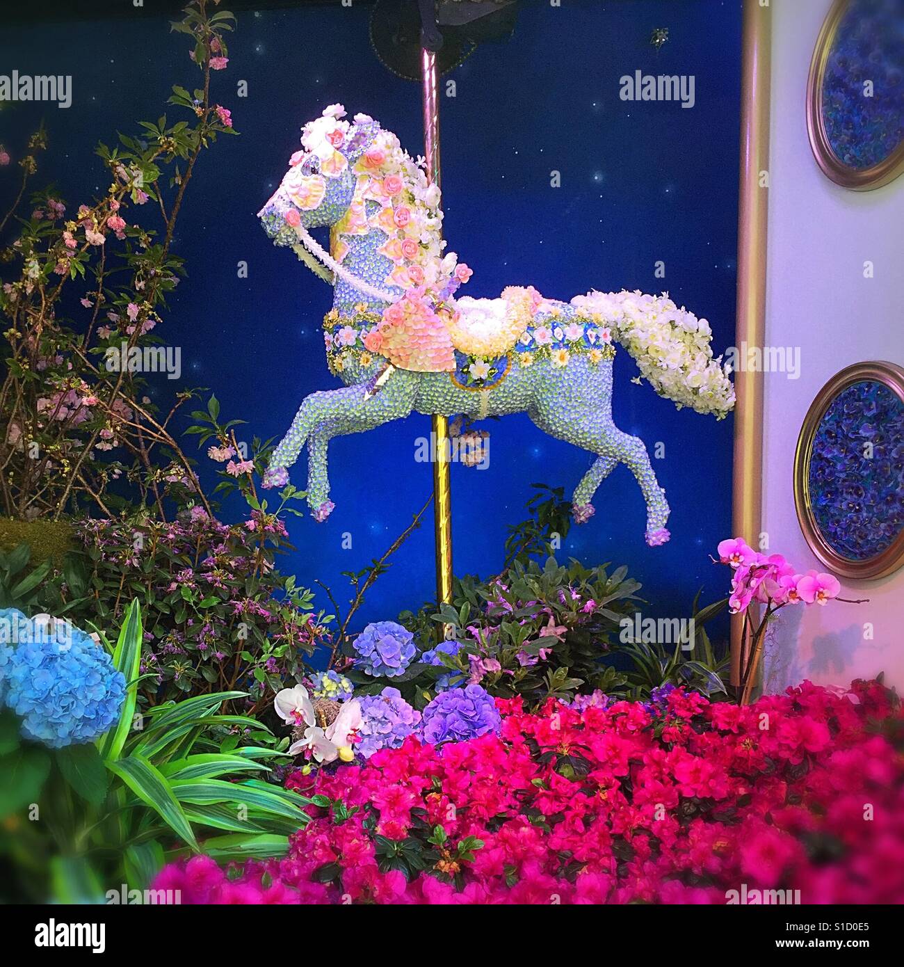 Macy's easter festival window display of the flowered carousel horse, Herald Square, NYC, USA - Smartphone Captured Stock Image