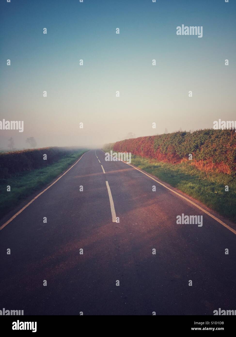 Country road disappearing in to morning mist. - Smartphone Captured Stock Image