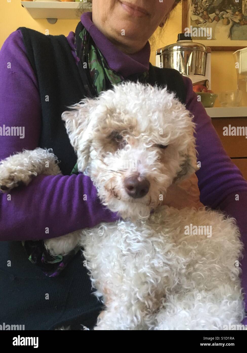 Portrait of Pluto - Smartphone Captured Stock Image