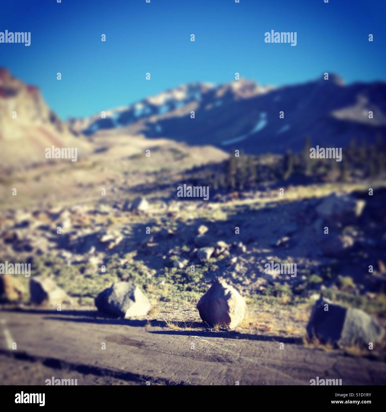 An early morning view up Mt. Shasta from the Old Ski Bowl parking lot in Northern California. - Smartphone Captured Stock Image