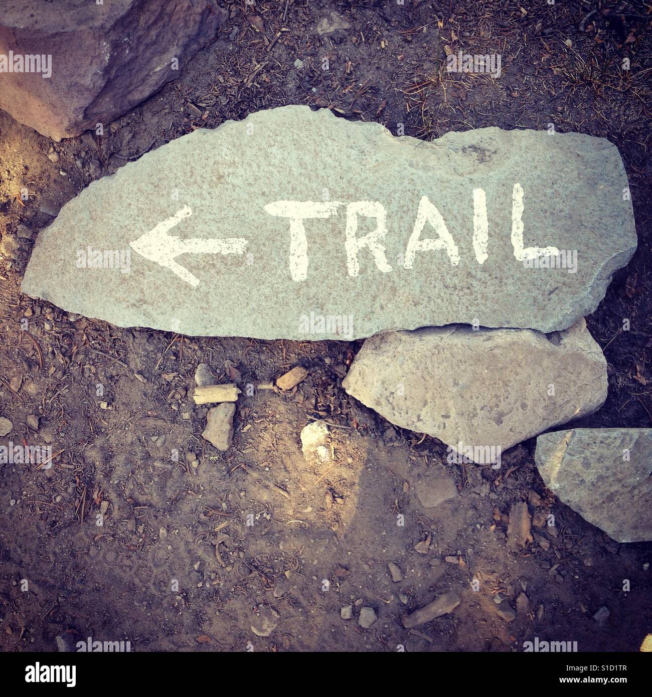 Mount Shasta trail to Horse Camp in Northern California. - Smartphone Captured Stock Image