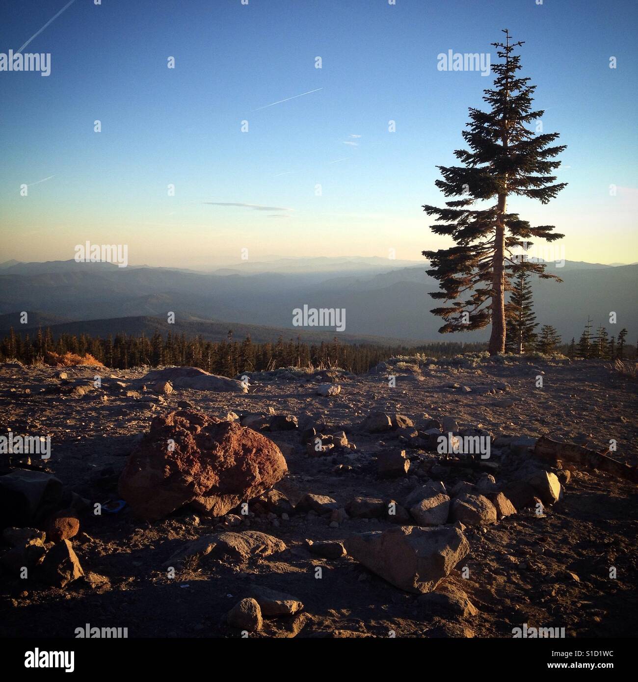 Late afternoon on the Old Ski Bowl remains on Mount Shasta in Northern California. - Smartphone Captured Stock Image