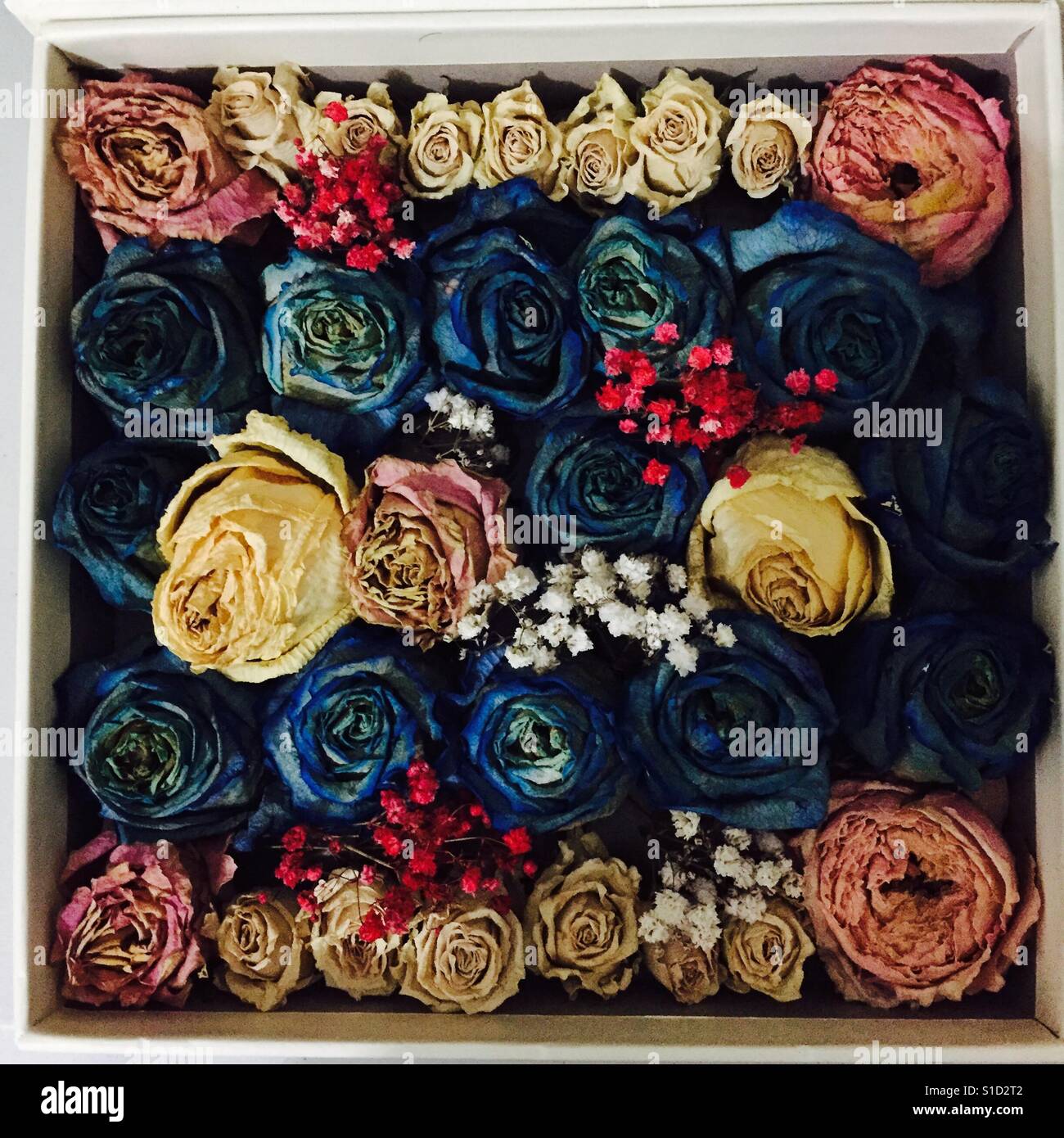 Boxed Dry Roses Stock Photo Alamy