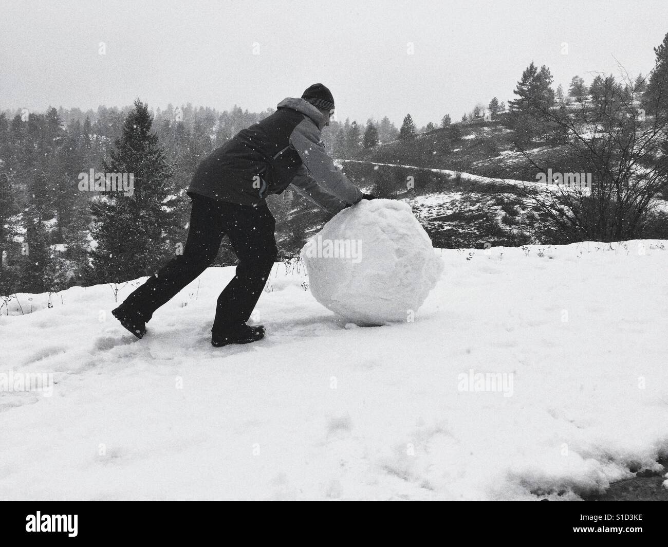 Young man rolling a large snow ball up a hill during a snow fall. In black and white. Room for copy. Stock Photo