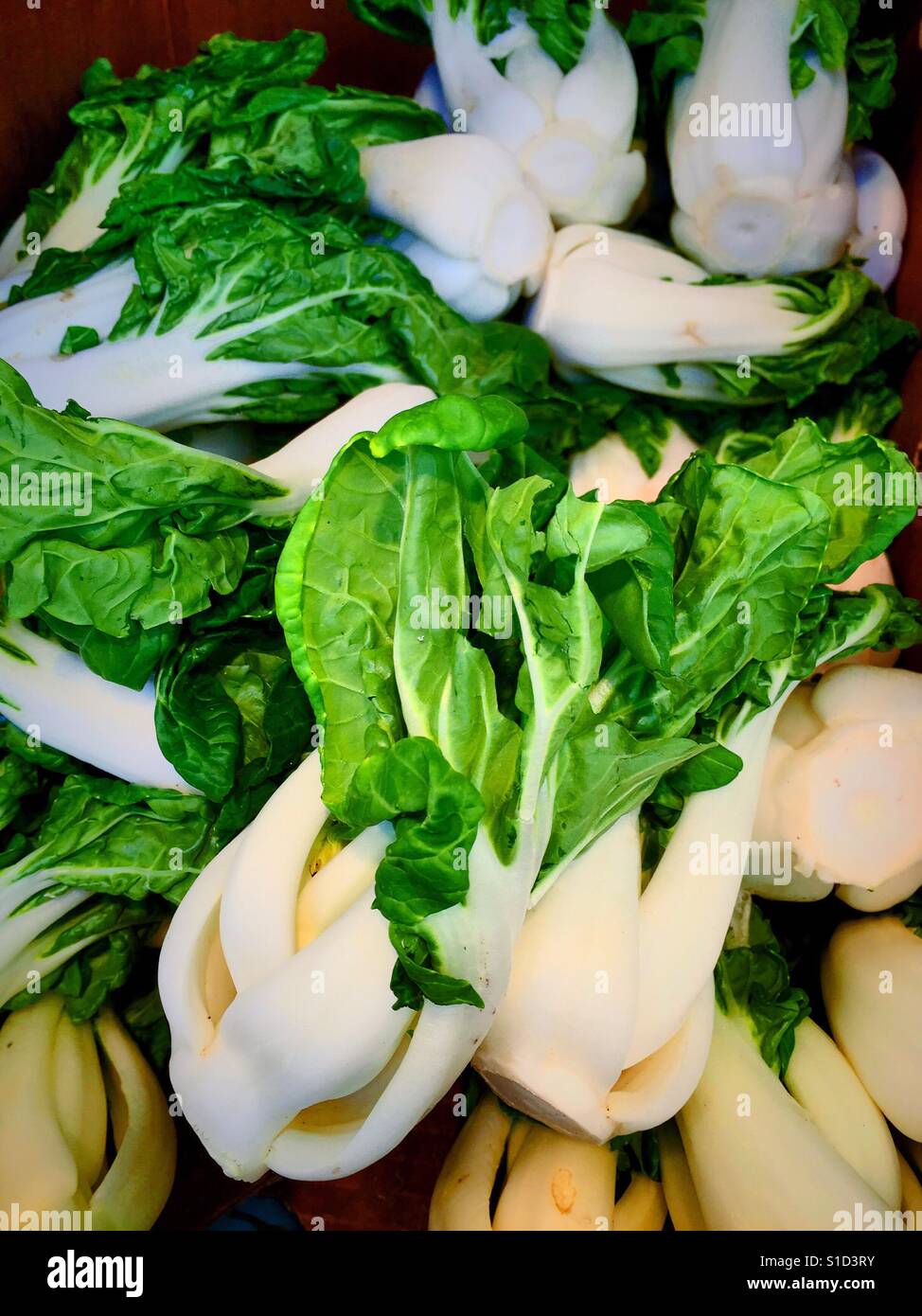 Bok Chou for sale at vegetable stand in Chinatown, NYC, USA - Smartphone Captured Stock Image