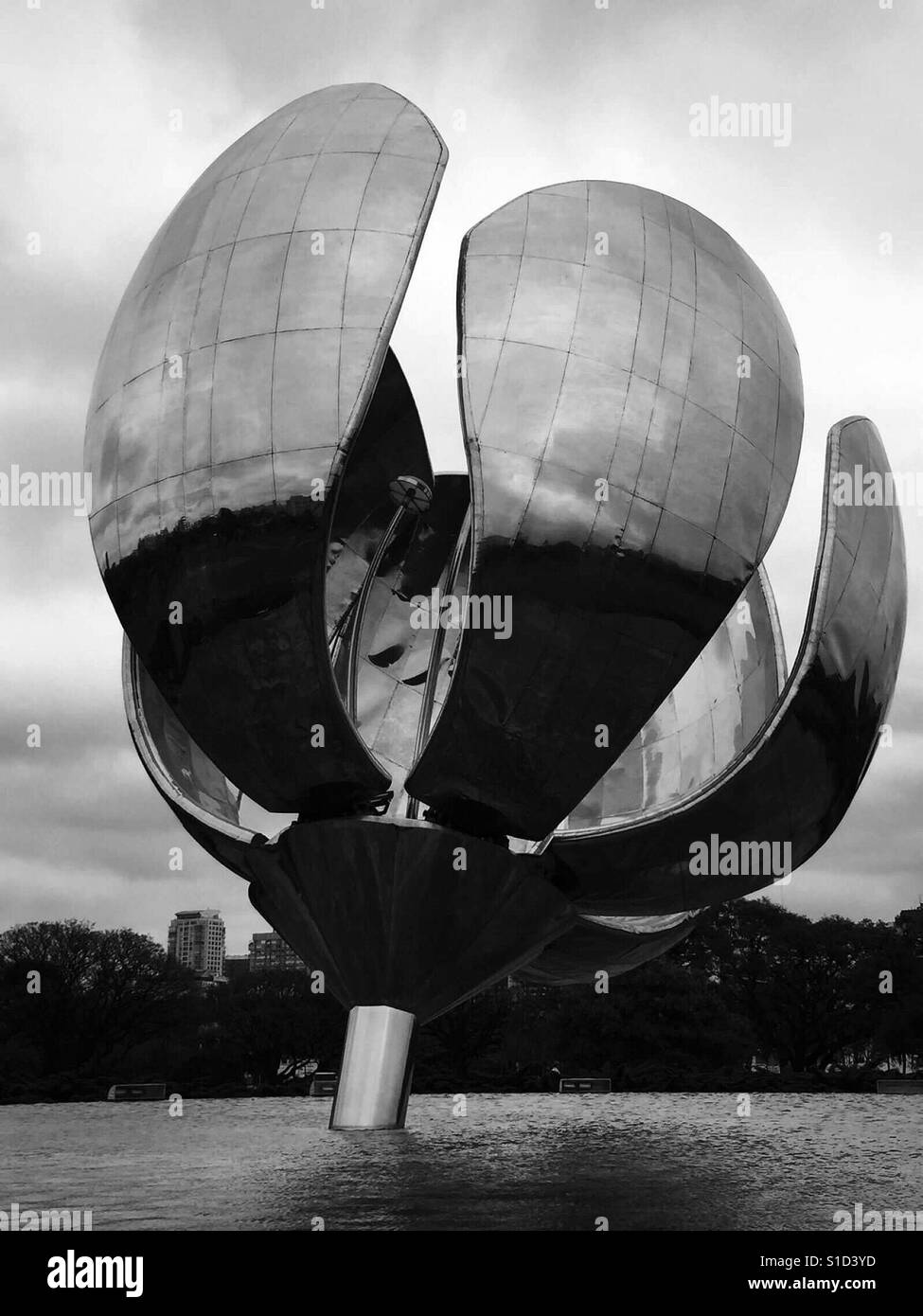 Tulip to the sun - Smartphone Captured Stock Image