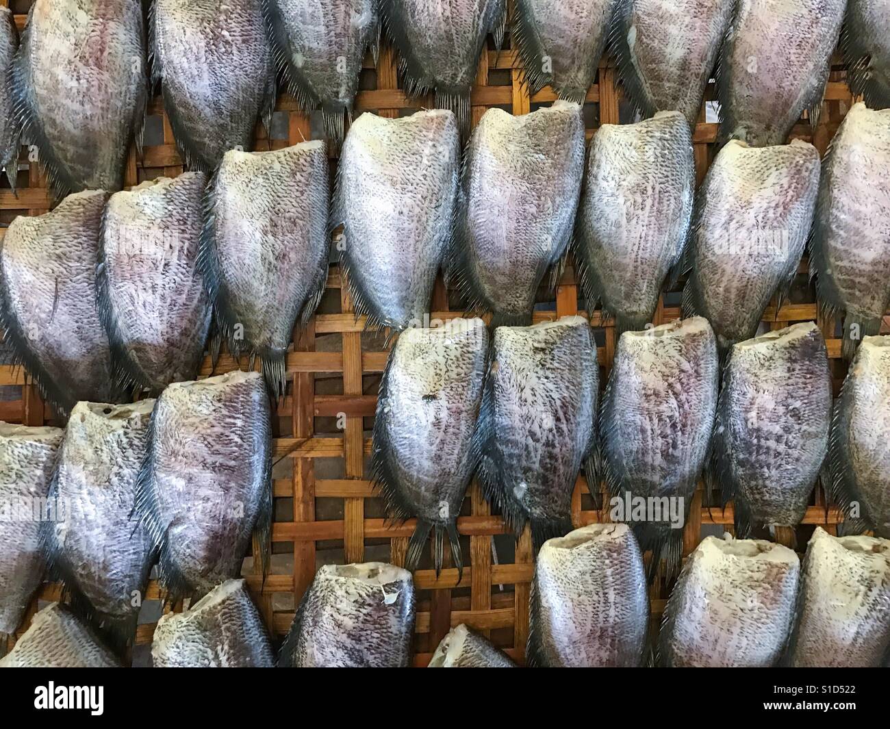 Dried salted damsel fish sold in Thai market Stock Photo