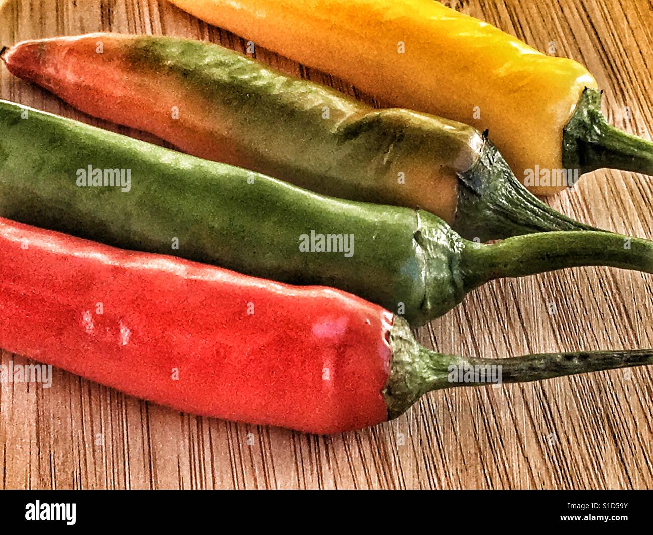 Four chilli peppers, red, green, orange and yellow - Smartphone Captured Stock Image