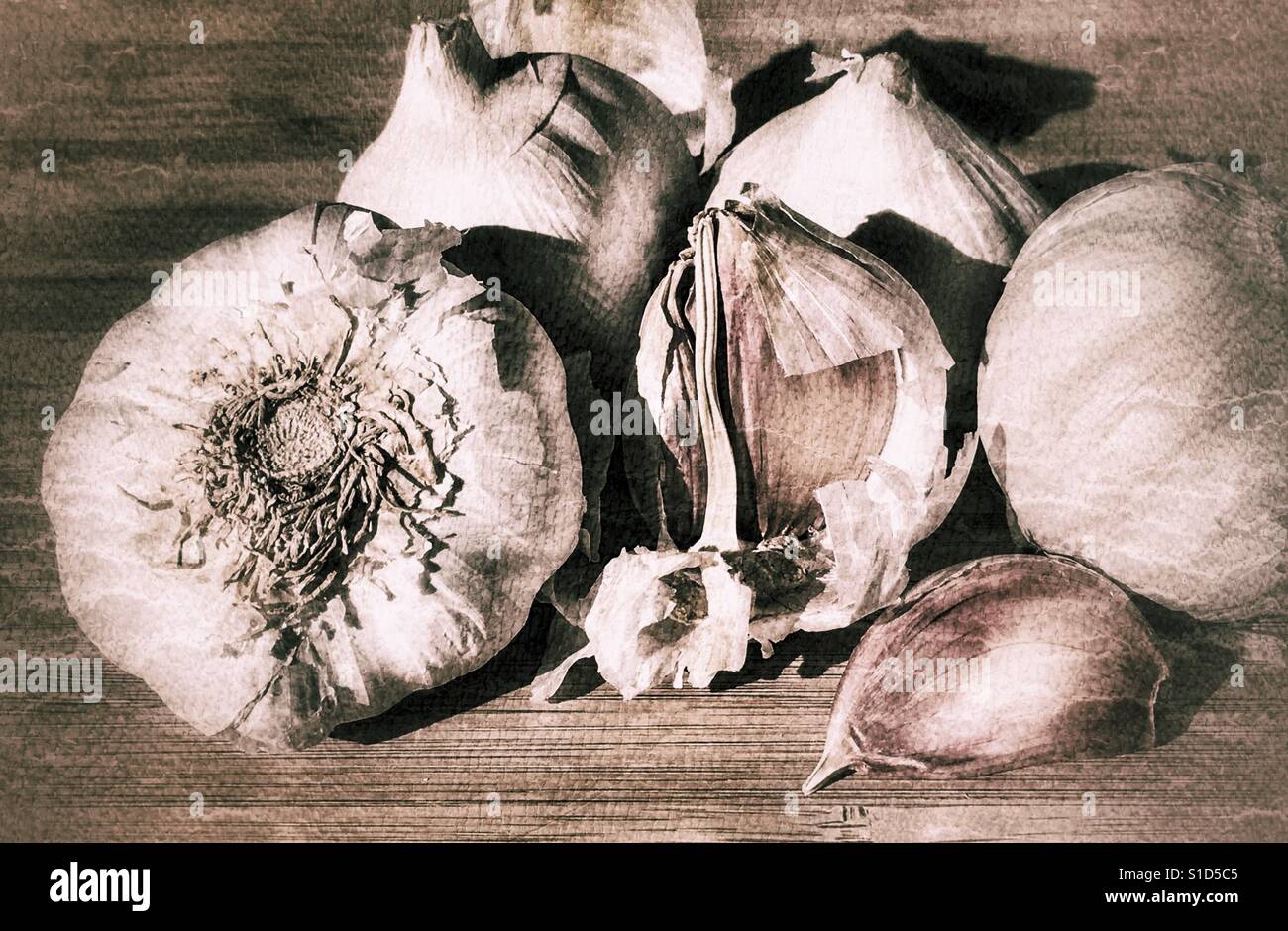 Fresh garlic - Smartphone Captured Stock Image