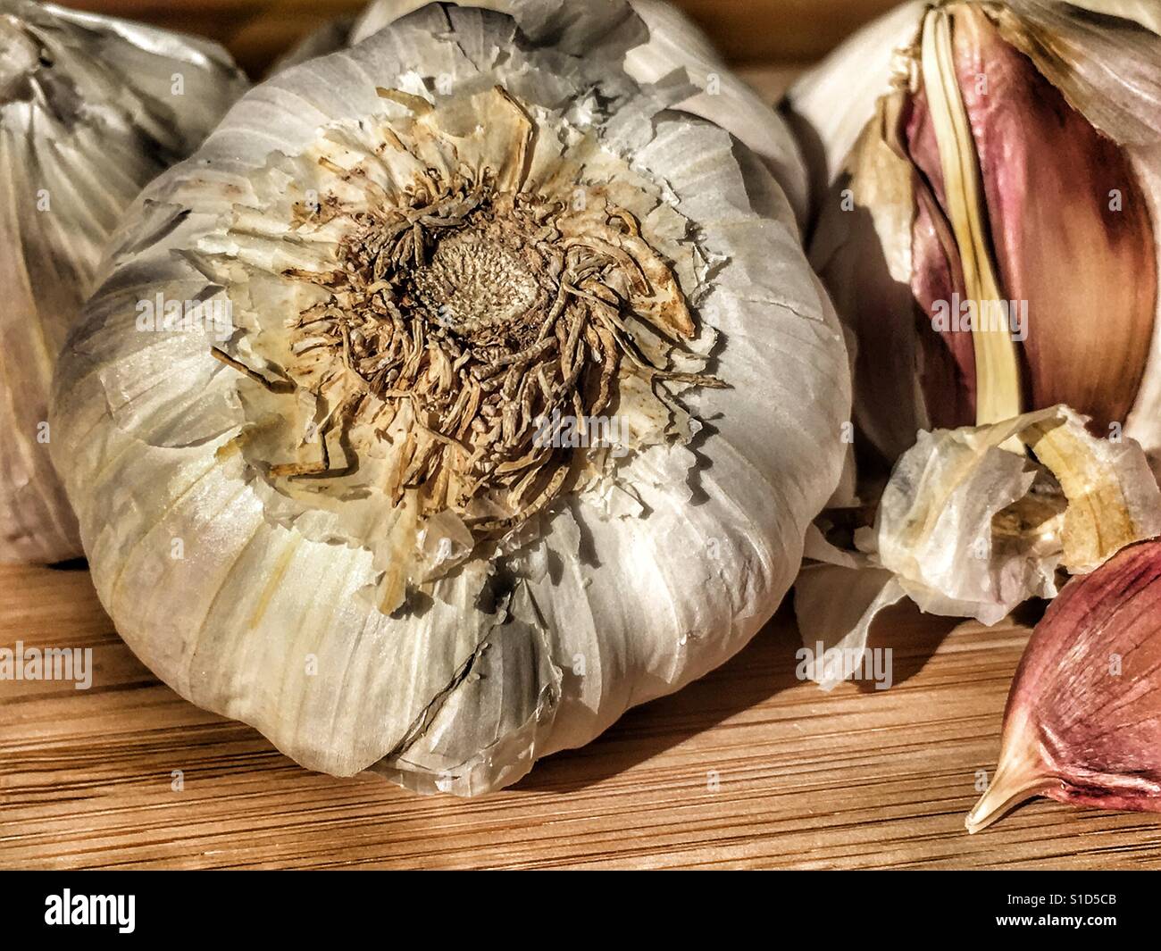 Fresh garlic - Smartphone Captured Stock Image
