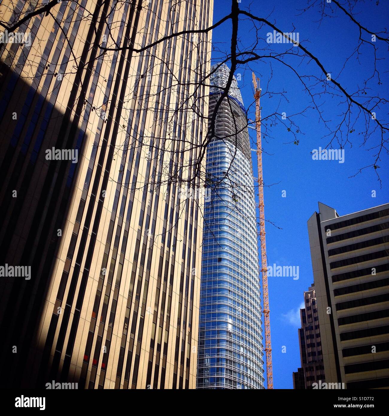 The Salesforce building with a building crane in San Francisco, California. - Smartphone Captured Stock Image