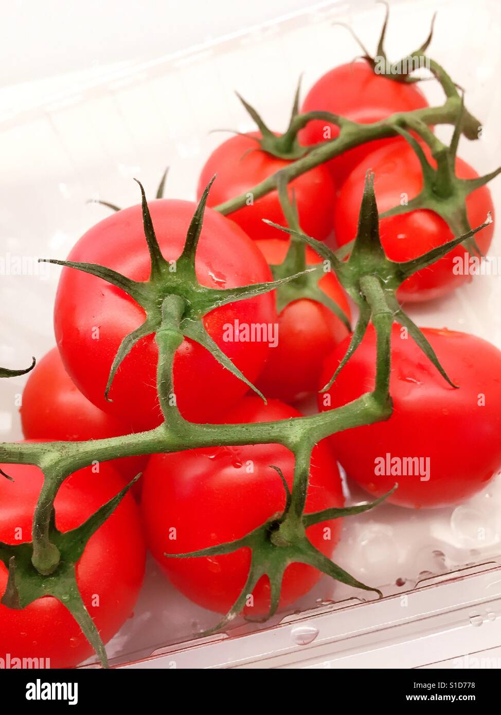 Vine ripened tomatoes Stock Photo Alamy