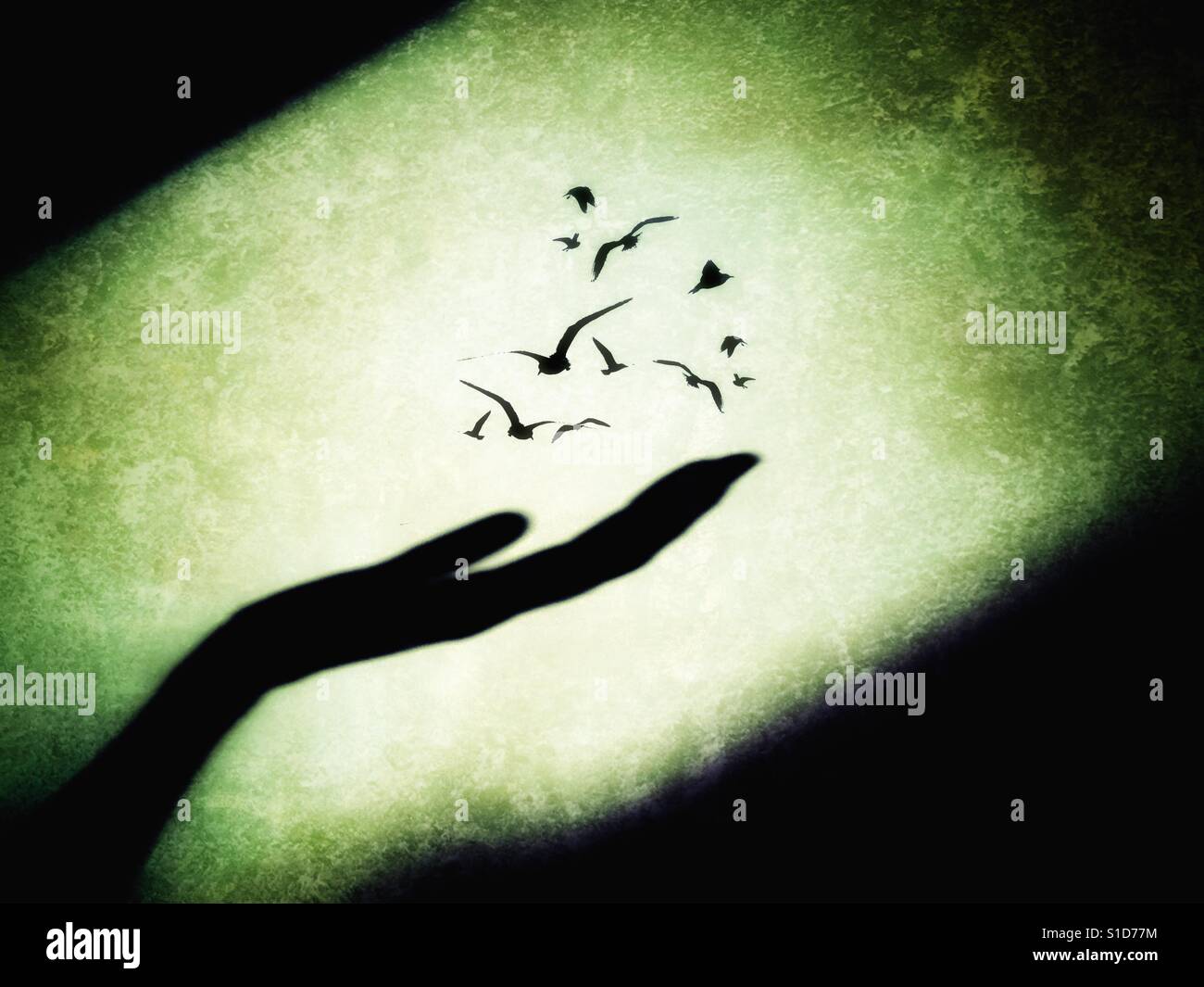 Conceptual image of birds flying for freedom from an open palm Stock Photo
