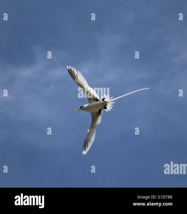 Paille High Resolution Stock Photography and Images Alamy