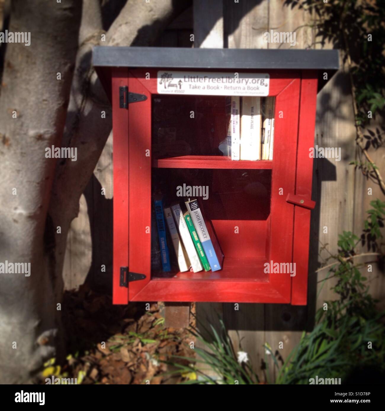 Little Free Library on Russell Street in Berkeley, California, USA - Smartphone Captured Stock Image