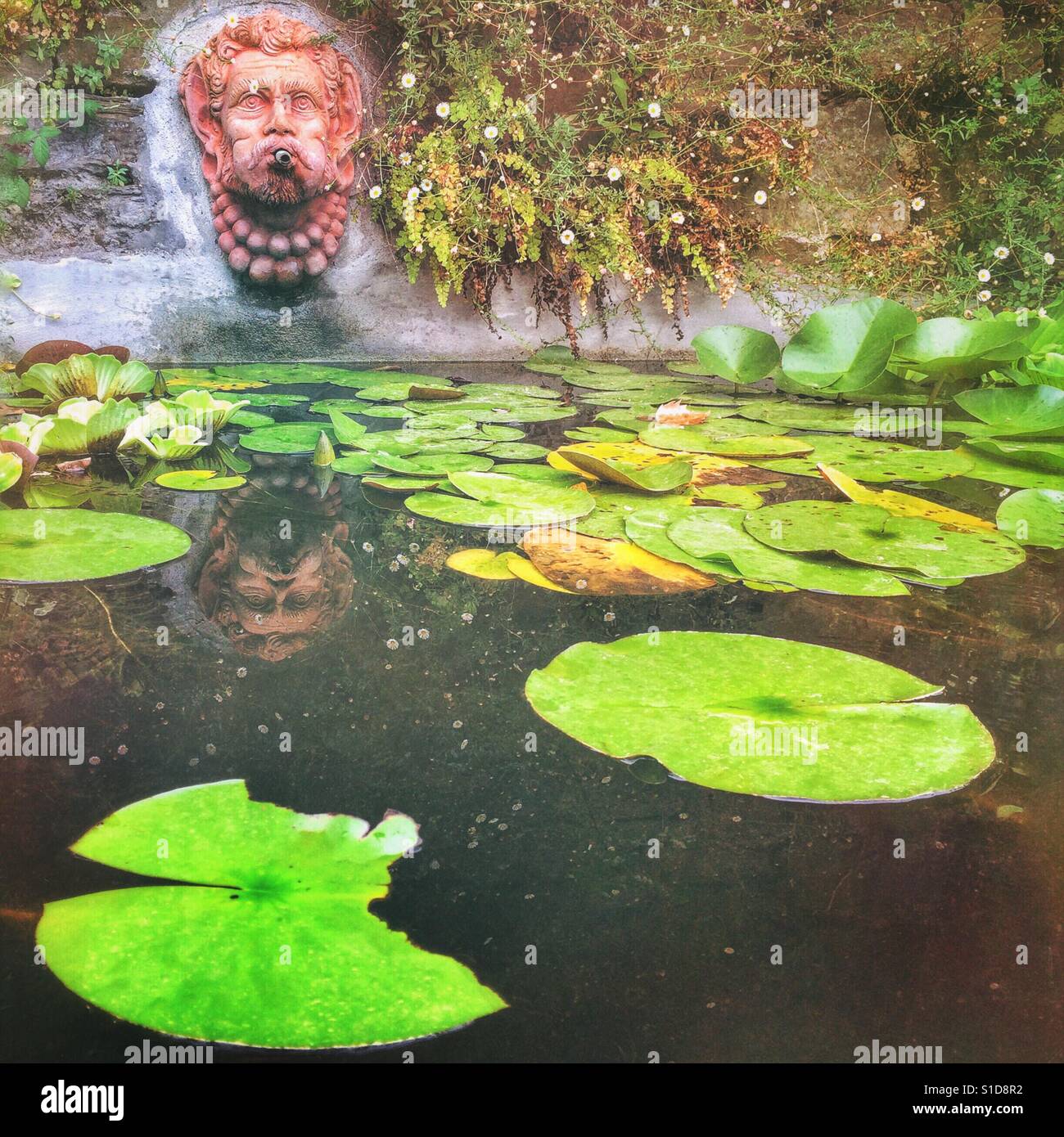 Water feature in garden Stock Photo
