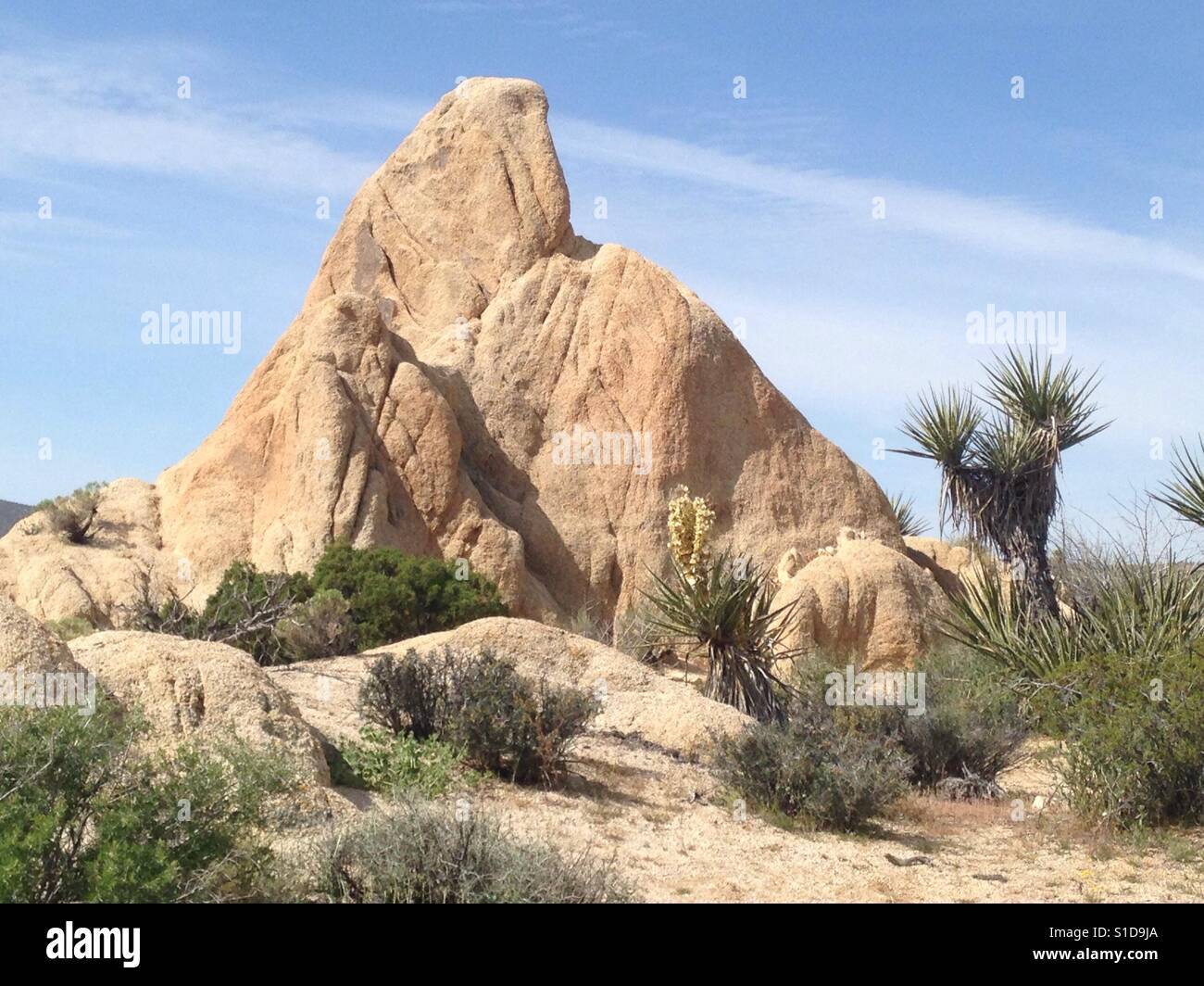 Joshua Tree Ragged Mountain Rock Stock Photo