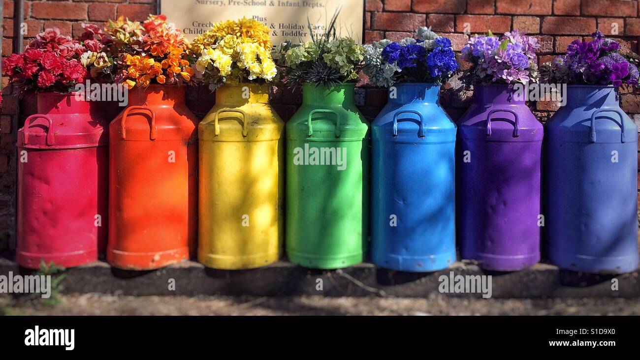 Coloured milk churns and flowers Stock Photo