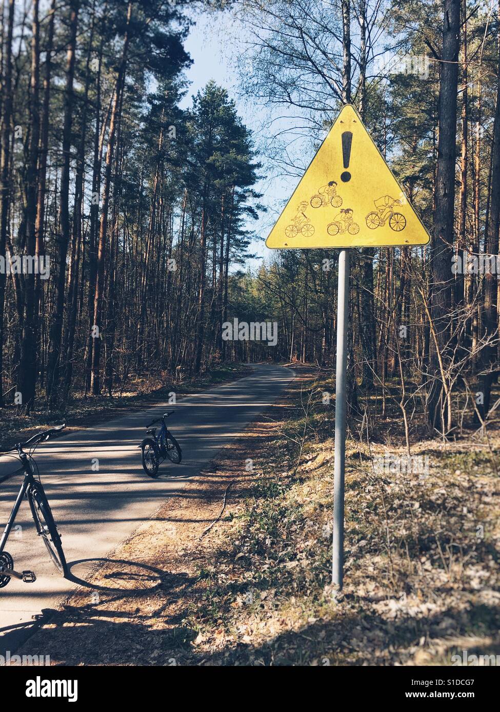 A road that doubles as a bike lane near Lychen, Brandenburg, Germany - Smartphone Captured Stock Image