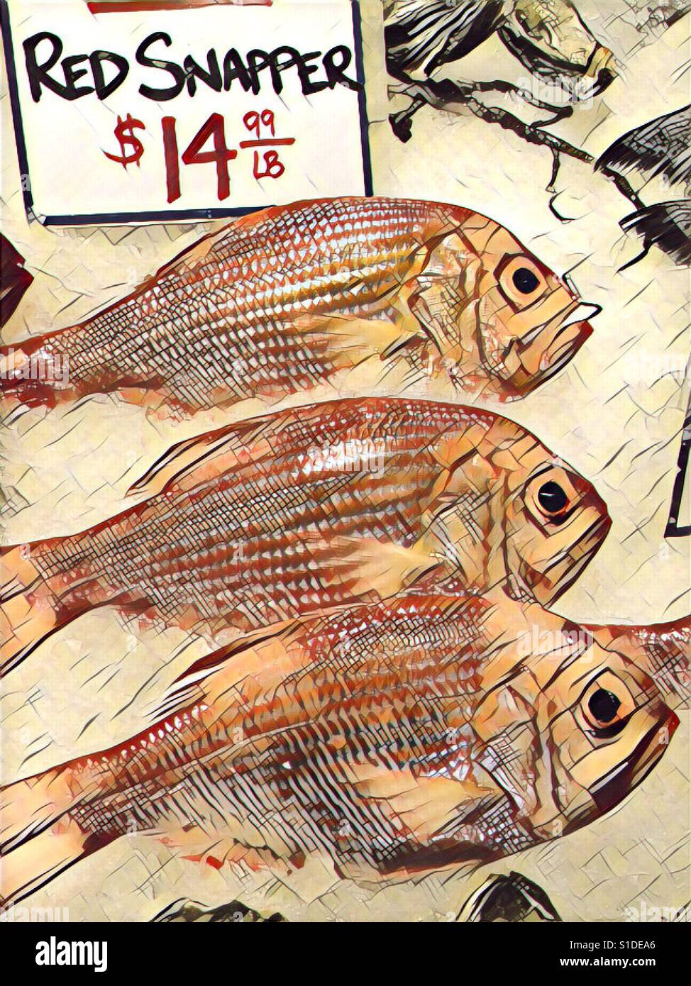 Abstract red snapper fish - Smartphone Captured Stock Image