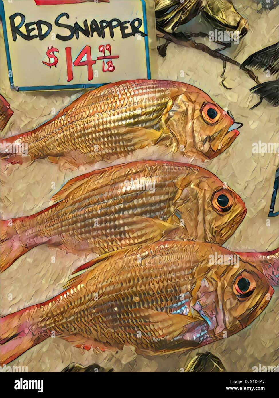 Abstract red snapper - Smartphone Captured Stock Image