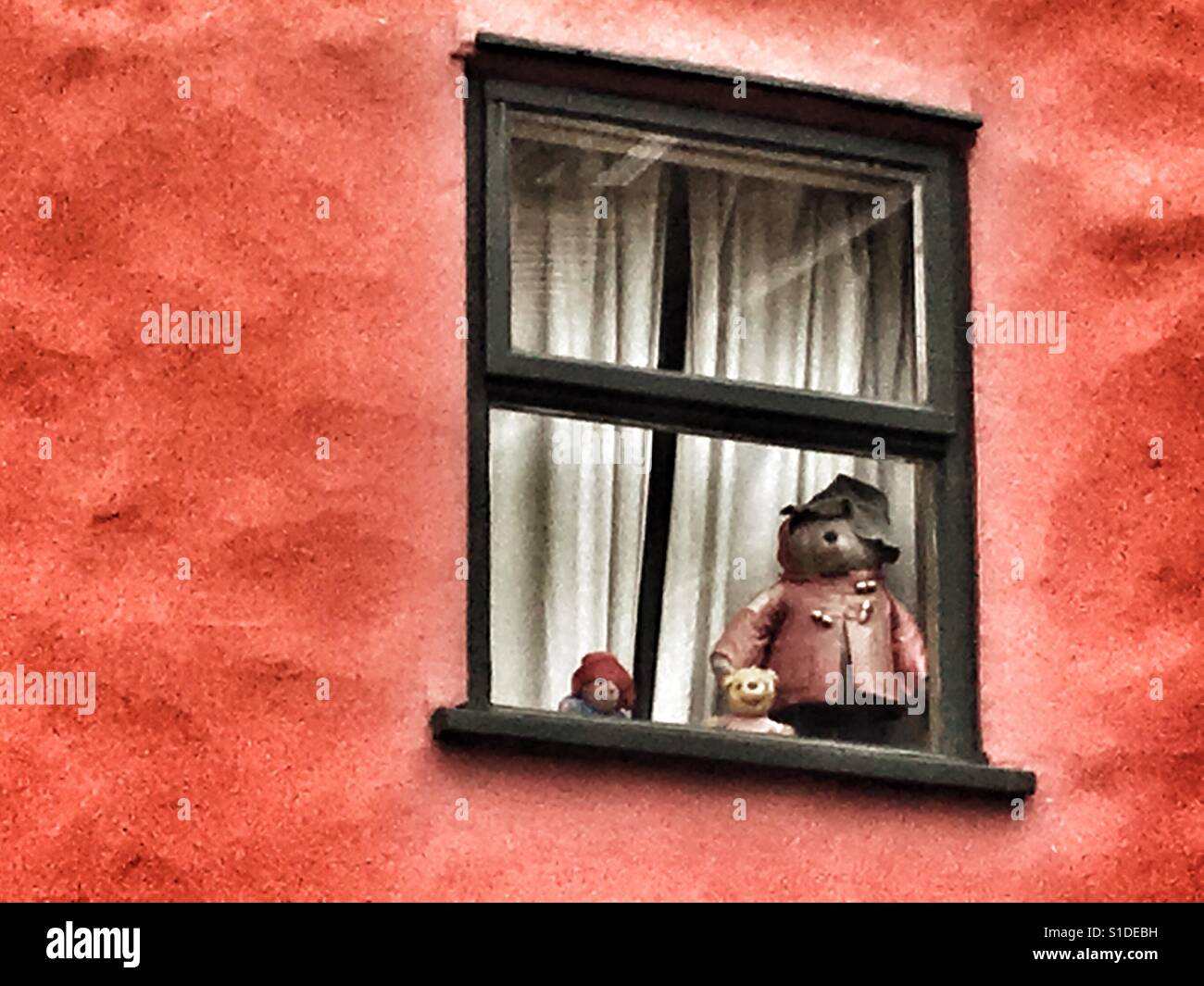 Paddington Bear in window of house - Smartphone Captured Stock Image