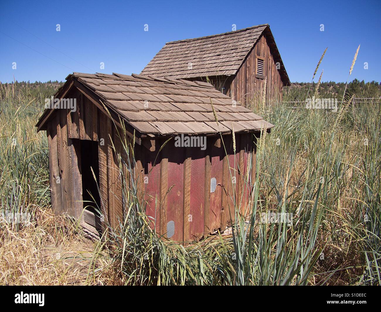 Two staggered farm buildings in the tall grasses of a field in Central Oregon on a sunny summer day. Stock Photo
