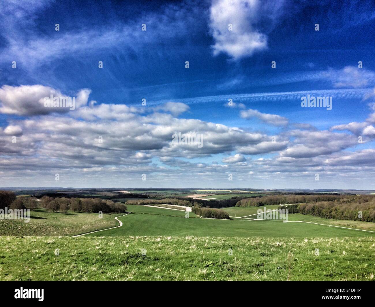The Matterley Bowl, site of the Boomtown Festival in Hampshire, UK, on a spring afternoon - Smartphone Captured Stock Image