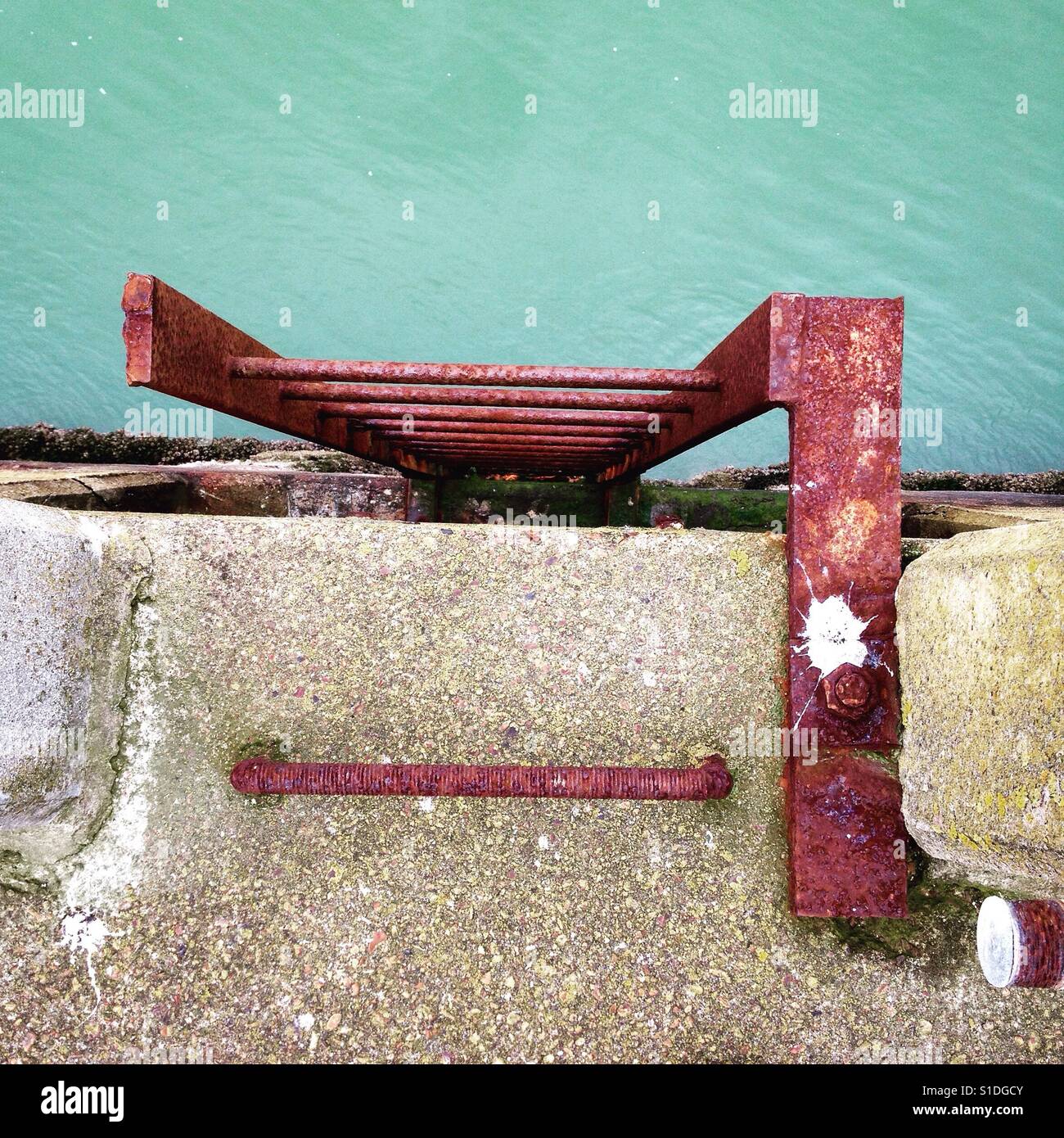 Lets go for a swim. - Smartphone Captured Stock Image